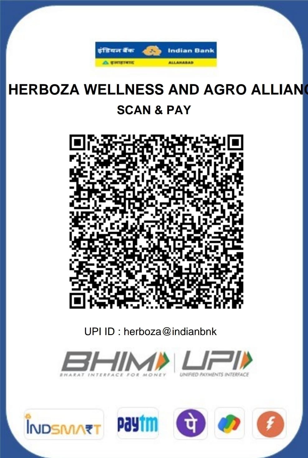 UPI QR Code